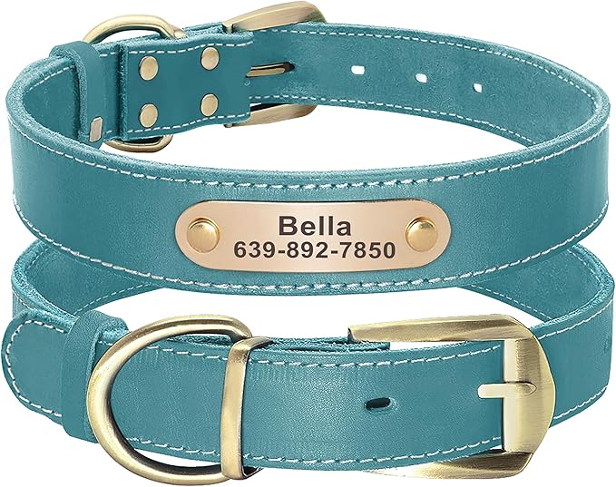 Didog Genuine Leather Dog Collars with Engraved Nameplate, Personalized Soft Leather Dog Collar with Custom ID Tag, Brown/Green/Red for Small Dogs (S,Blue)