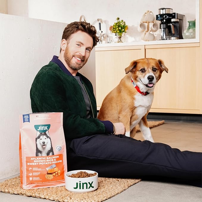 Jinx Premium Grain-Free Dry Dog Food, for All Lifestages - Real Salmon, Sweet Potato & Carrot Puppy Kibble with Superfoods for Immune Support & Probiotics for Digestive Support - No Fillers - 4lb