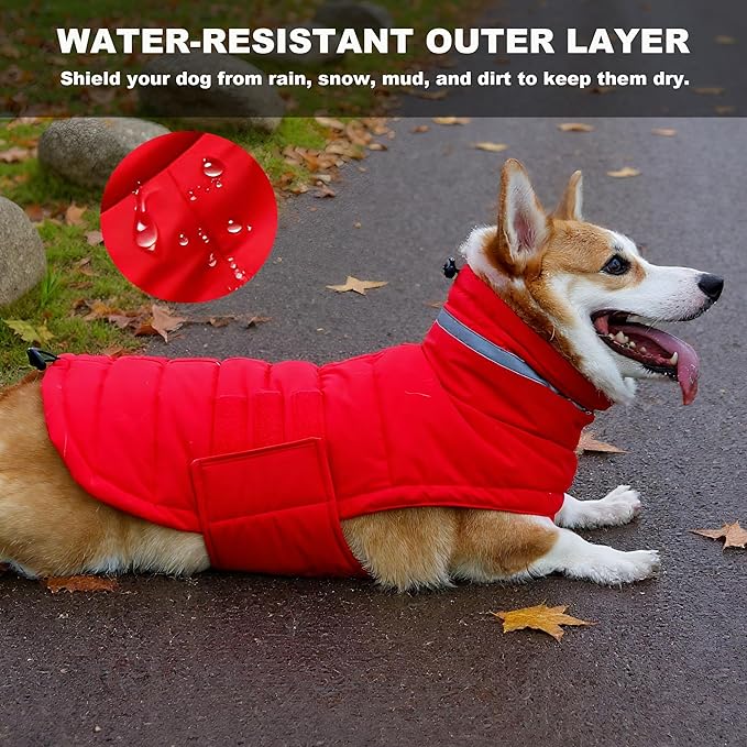 Dog Coat, Waterproof Winter Jacket, Warm Windproof Jacket, Reflective Adjustable Turtleneck Coats for Medium Dogs with Hook & Loop - Red - M