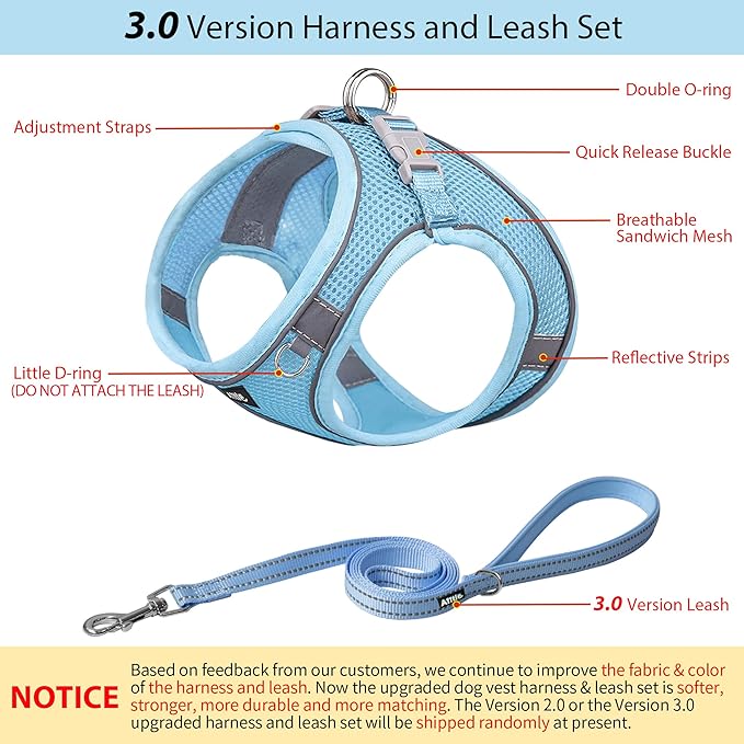 AIITLE Step in Dog Harness and Leash Set - Summer No Pull Escape Proof Vest Harnesses with Soft Mesh and Reflective Bands, Adjustable Pet Outdoor Harnesses for Small and Medium Dogs Pure Blue M