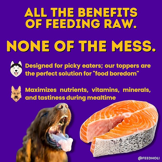 HOLI Freeze Dried Salmon Dog Food Topper - with Omega 3 & 6 - Single Ingredient, Human-Grade Wild Caught Salmon - Dog Food Flavor Enhancer for Picky Dogs – 100% All Natural - 6oz