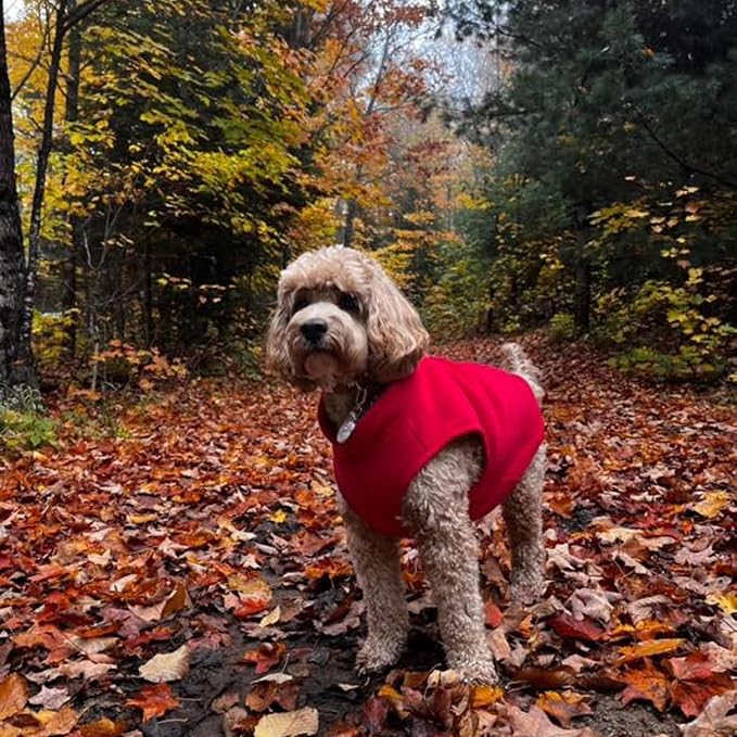 JACKO & CO - Fleece Vest Dog Sweater with Leash Ring - Soft, Warm & Lightweight Pullover Coat for Small & Medium Dogs, Puppies & Cats - Cozy Fall/Winter/Spring Pet Jacket (Red, X-Small 2-4lbs)