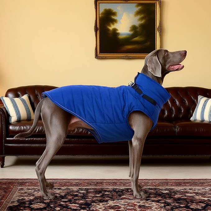 Kuoser Dog Jacket, Coat for Large Dogs with Harness Built-in, Thick Vest with Leash Hole, Cold Weather Snow Jacket for Labrador Beagle, Blue XL