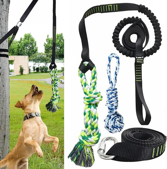 Outdoor Bungee Tug Solo Hanging Toy, Tree Tugger Dog Pull Rope Tug a War for Pitbull Medium Large Aggressive Chewers, Interactive Dog Tether Toy for Yard, 2 Rope Toys
