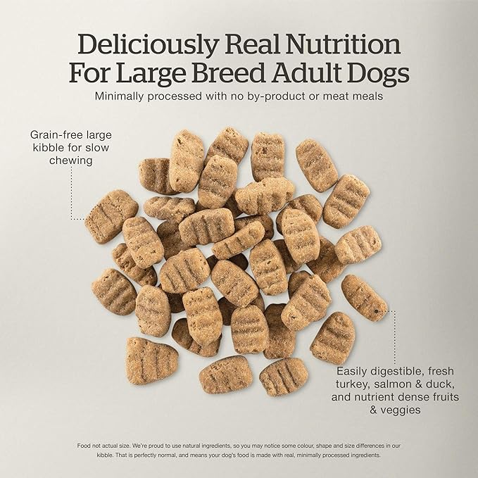 Now Fresh Grain-Free Large Breed Dry Dog Food with Turkey, Salmon & Duck, Premium Kibble for Adults Made with Real Meat & Fish, Chicken-Free, Glucosamine & Chondroitin for Healthy Joints, 25 lb Bag
