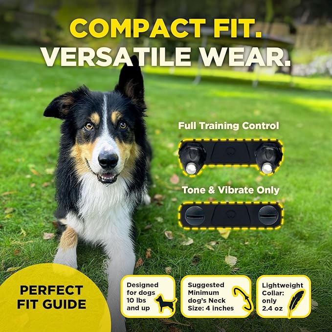 Dogtra 200iQ Remote Training E Collar – 100 Levels, Tone, Vibration, 1/2 Mile Range – Compact, Waterproof, One-Handed Control for Dogs 10 lbs+ – Lightweight Design for Daily Training – Black Leopard