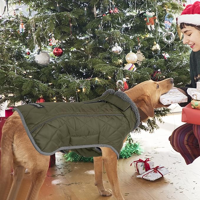 Fragralley Dog Coat Small, Waterproof Dog Jacket with Warm Fleece Lining, Adjustable Reflective Dogs Winter Coat, Turtleneck Pet Coats for Cold Weather ArmyGreen S