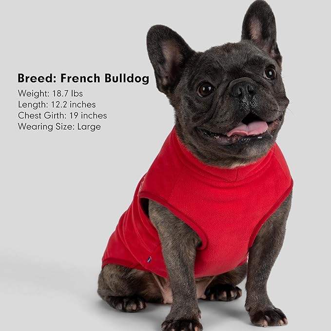 cyeollo Fleece Dog Sweater, Turtleneck Dog Sweatshirt Stretchy Pullover Fleece Vest Warm Winter Fall Clothes for Small Dogs Boy Girl Pet Apparel, Red M