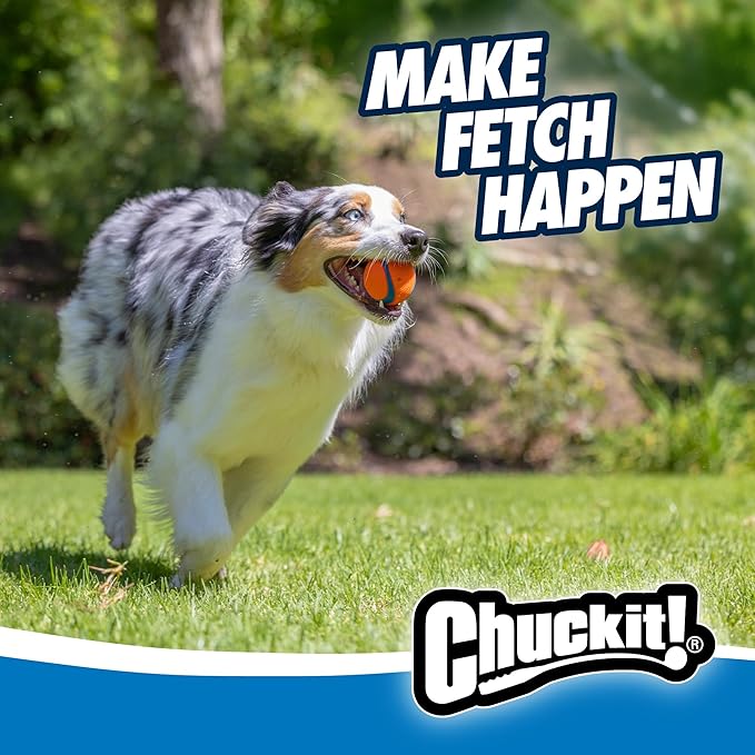 Chuckit! Ultra Ball Dog Toy - Medium Bouncy Fetch Balls for Dogs 20-60 lbs - Made from Durable Rubber - Floating Water Pet Toys - Size Medium - 2.5-inch Diameter - Pack of 8