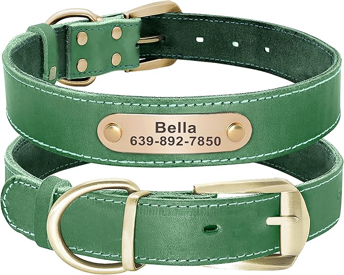 Didog Genuine Leather Dog Collars with Engraved Nameplate, Personalized Soft Leather Dog Collar with Custom ID Tag, Brown/Green/Red for Small Dogs (S,Green)