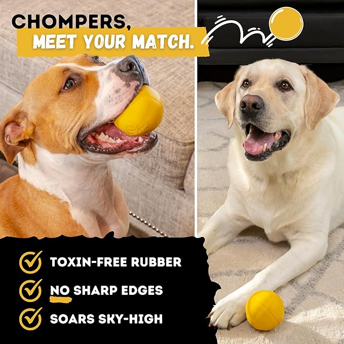 Indestructible Dog Ball - Lifetime Replacement - Durable Dog Toy for Aggressive Chewers - Safe, Non-Toxic Natural Rubber - Chew & Fetch - Tough, Heavy Duty - 3” (Tennis Ball Size)