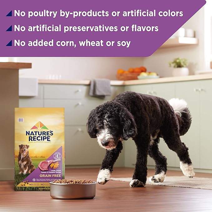 Nature’s Recipe Grain Free Lamb, Sweet Potato & Pumpkin Recipe Dry Dog Food, 24 lb. Bag