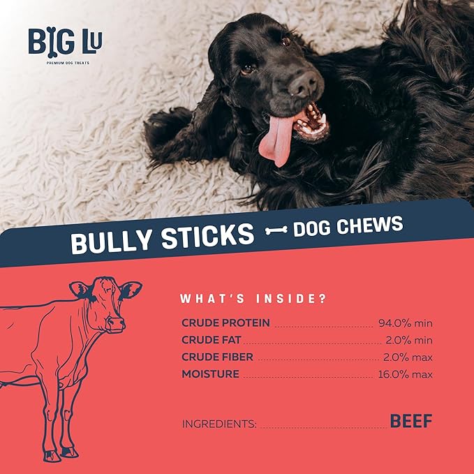 Big Lu - 12” Regular Bully Sticks, 12 Count, 100% Grass-Fed Beef Chews, Fully Digestible, Long-Lasting Treats for Aggressive Chewers, Natural Single-Ingredient Chews for Large Dogs