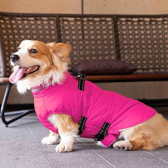 Small Dog Coat with Harness Built-in, Waterproof Reflective Fleece Lined - Warm Windproof Winter Jacket with Back Zipper, Cold Weather Snow Dog Coats - Pink - XS