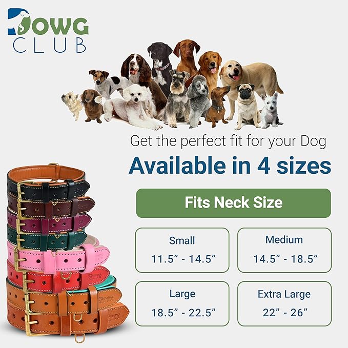 Genuine Leather Dog Collar – Full Grain, Breathable Inner Padding, Padded Buckle – Heavy Duty, Adjustable for Small, Medium, Large & XL Breeds | (X-Large (Fit Neck Size 22"-26"), Dark Brown)