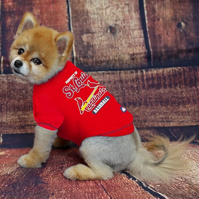 MLB Saint Louis Cardinals Dog T-Shirt, X-Small. - Licensed Shirt for Pets Team Colored with Team Logos. - Premium Stretchable Materials for The Comfort of Your Dog & cat.