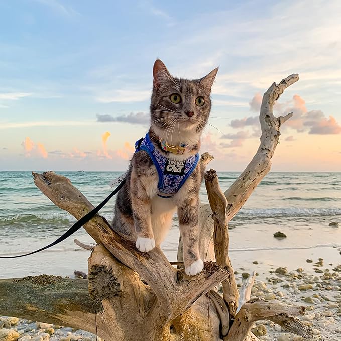 Travel Cat Harness and Leash Set - Adjustable Fit Mesh Cat Harness and Reflective Strap - Comfort Walking Vest for Kitten for Outdoor Walking, Hiking (Small, Groovy)