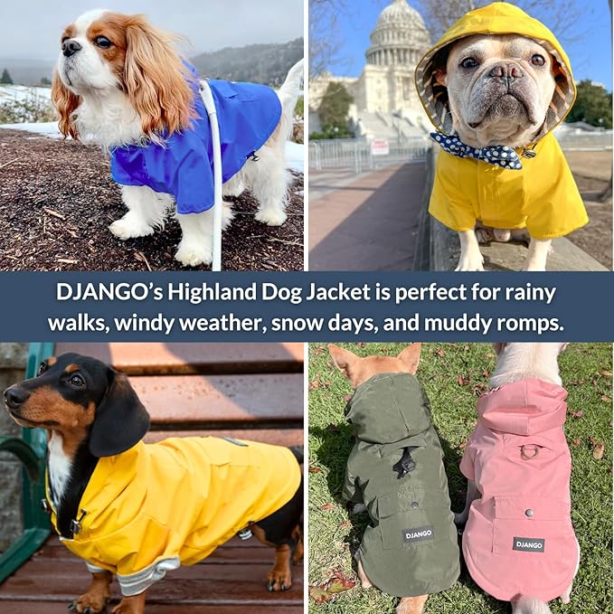 DJANGO Highland Dog Jacket & Raincoat – Water-Repellent, Lined Dog Coat with Hood, Adjustable Fit & Harness Hole – Lightweight Rain & Wind Jacket for Small & Medium Dogs up to 30 lbs (Olive, Medium)