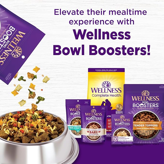 Wellness Complete Health Dry Puppy Food, Chicken, Salmon & Oatmeal, 5-Pound Bag