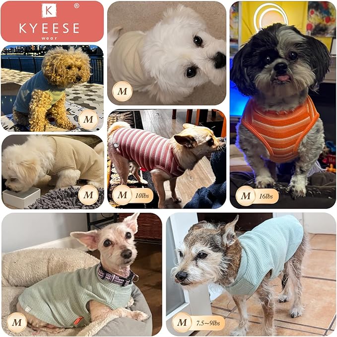 KYEESE 2Pack Waffle Dog Shirts for Small Dogs Stretchy T-Shirts Lightweight Tank Top Sleeveless Striped Shirt Vest Breathable Cat Shirt, Medium, Orange+Striped