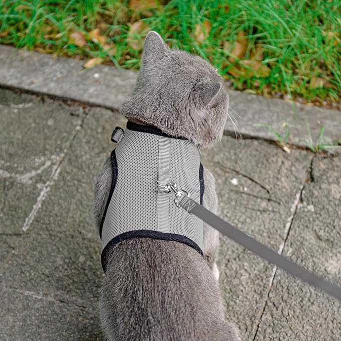 PUPTECK Soft Mesh Cat Vest Harness and Leash Set Puppy Padded Pet Harnesses Escape Proof for Cats Small Dogs Rabbits Bunny
