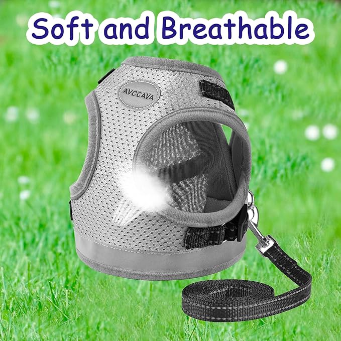 Cat Harness and Leash for Walking, Kitten Escape Proof Harnesses, Adjustable Reflective Puppy Harness with Leashes Set, Easy Adjustable Soft net Breathable Pet Safety Vest Grey