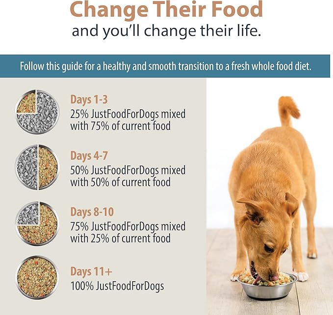 JustFoodForDogs Pantry Fresh Wet Dog Food, Complete Meal or Dog Food Topper, Chicken & White Rice Human Grade Dog Food Recipe - 12.5 oz (Pack of 12)