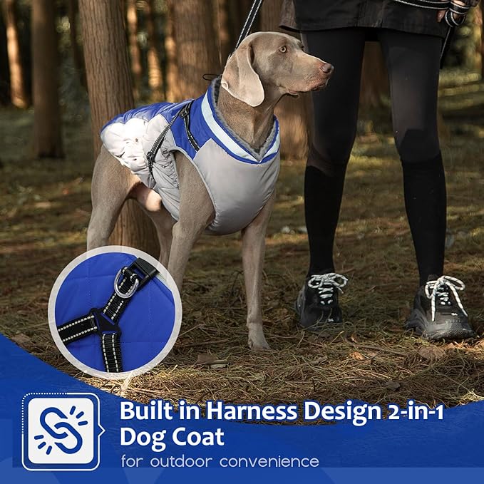 Dog Winter Coat with Harness, Dog Jacket, Pet Clothes with Zipper on Back, Waterproof Windproof Warm Vest, Reflective Cold Weather Coats, for Small Medium Large Dogs, Thick, Blue, M