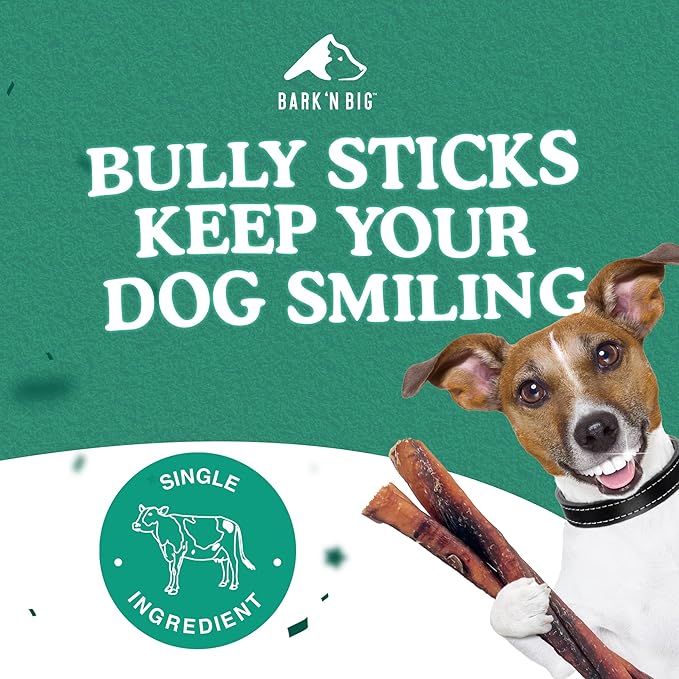 BARK'N BIG 12 Inch Odor Free Bully Sticks for Dogs Made in USA - Single Ingredient Dog Chew - Premium Pizzle Sticks - Beef Pizzles for Large Breeds - 8 Count