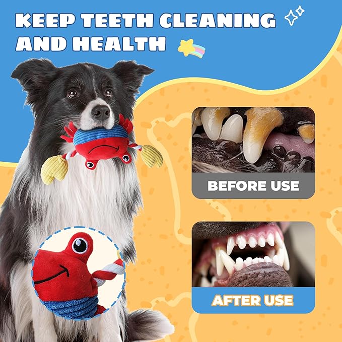 Squeak Plush Dog Toys for Small & Medium Breeds, Chew Rope to Keep Them Busy for Puppy Teething Chewing, Interactive Indoor/Outdoor Play, Best Pet Gift, Crab