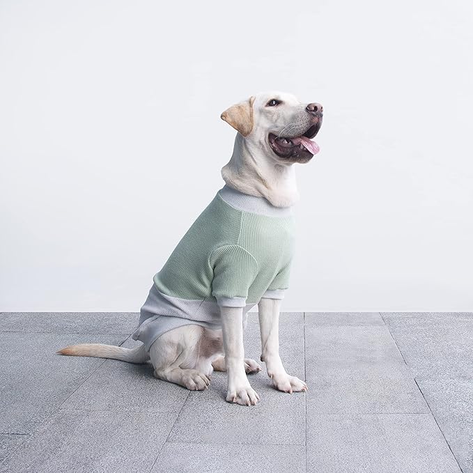 Extra Large Dog Sweaters Warm Clothes Pullover Sweatshirts for Labrador Rottweiler Great Dane, Green Grey, 6X-Large