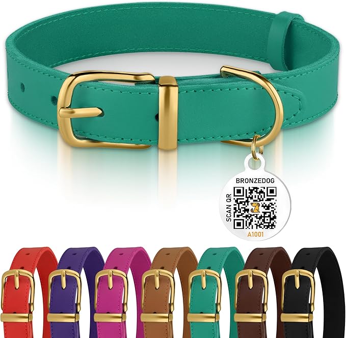 BRONZEDOG Leather Dog Collar with QR ID Tag Basic Pet Collars for Small Mini Dogs Cats Puppies (7-9 Inch (Pack of 1), Green & Gold Buckle)