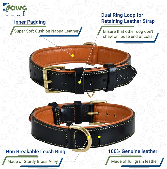 Genuine Leather Dog Collar | Full Grain, Heavy Duty, Comfortable, Padded, Strong | Best for Pups, Small, Medium, Large & XL Breeds (Large (Fit Neck Size 18.5"-22.5"), Black)