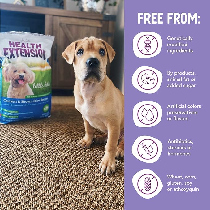 Health Extension Little Bites Dry Dog Food for Small Breeds, Chicken & Brown Rice Recipe, with Probiotics & Superfoods for Digestion & Coat Health, 10 lb bag (Pack of 1)