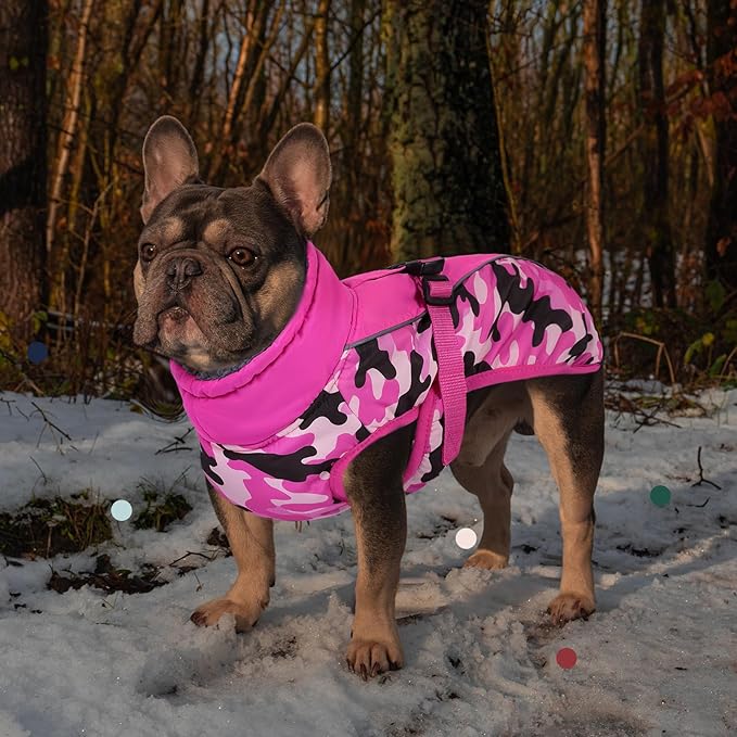 IECOii Extra Warm Dog Coat - Reflective Adjustable Jacket With Buckle Fleece Turtleneck for Cold Weather - Soft Winter Coat for Small Medium Extra Large Dogs