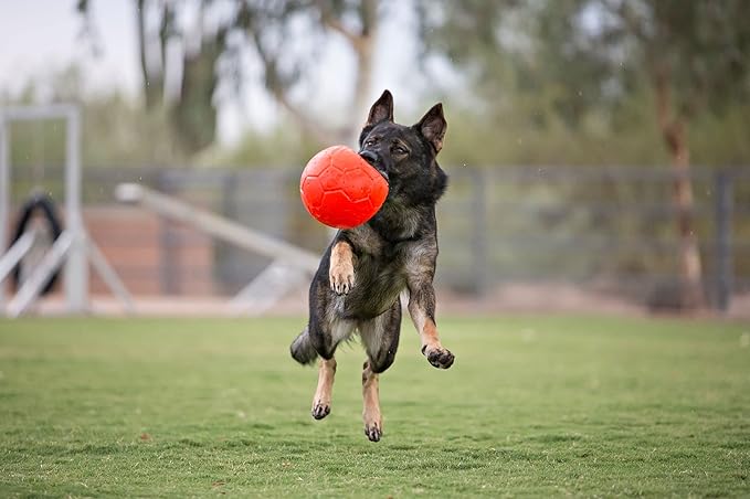 Jolly Pets Large Soccer Ball Floating-Bouncing Dog Toy, 8 inch Diameter, Orange