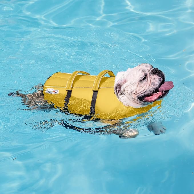 Outward Hound Granby Splash Dog Life Jacket, High-Buoyancy Dog Life Vest for Swimming, Boating, and Water Safety, XS, Yellow