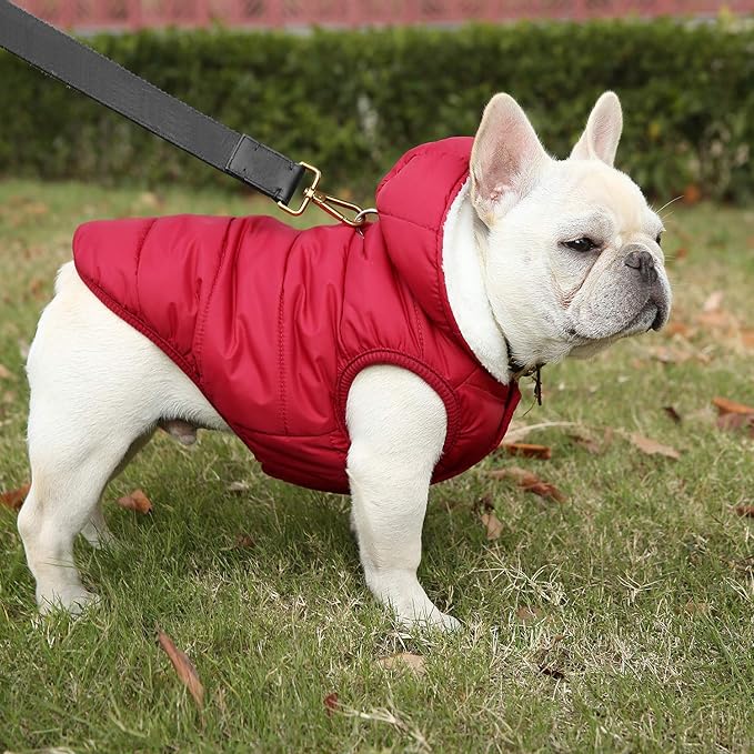 Fleece Hoodie for Dogs - Windproof Waterproof Coat, Winter Warm Jacket, Cold Weather Pet Apparel Clothes Vest for Small Medium Large Dogs (XS, Red)