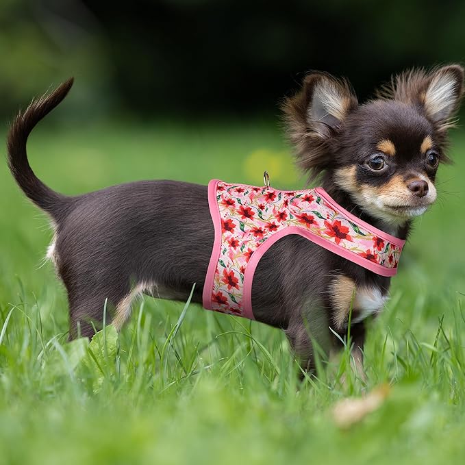 Mile High Life Dog Harness, Air Mesh Floral Vest Harness for 20 lbs Small Dogs & Cats, Easy Get on Adjustable Easy Closures Both Neck and Chest(Lily, S Chest 16"-18")