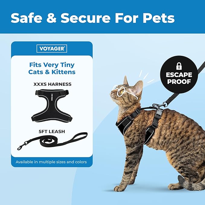 Voyager Escape Proof Cat Harness and Leash Set with Reflective Stitching, Neoprene Handle 5ft - Supports Small, Medium and Large Cats, Kittens for Walking by Best Pet Supplies - Black, XXXS