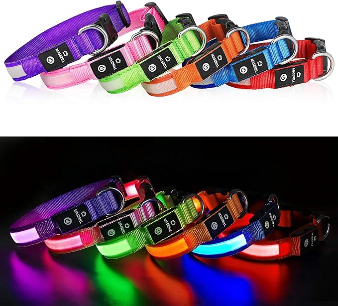 MASBRILL LED Dog Collar,Light Up Dog Collars Rechargeable Lighted Dog Collar Glowing Dog Night Walking Collar 4 Colors for Choice