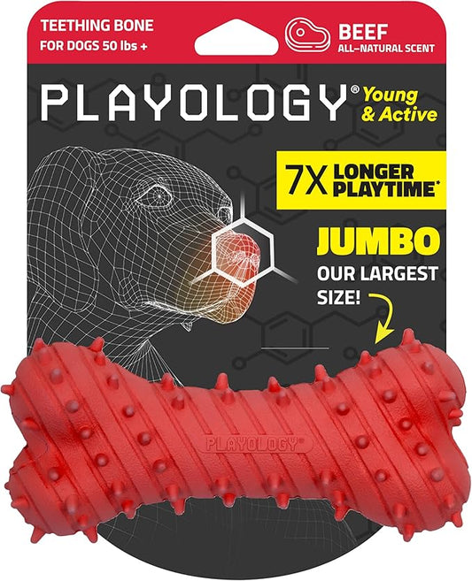 Playology Dog Toys | Puppy Toy Teething Bone Designed for Young & Active Dogs | Jumbo Beef Scented Toy Made from Non Toxic Materials