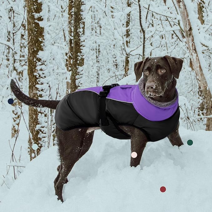 IECOii Extra Warm Dog Coat - Reflective Adjustable Jacket With Buckle Fleece Turtleneck for Cold Weather - Soft Winter Coat for Small Medium Extra Large Dogs