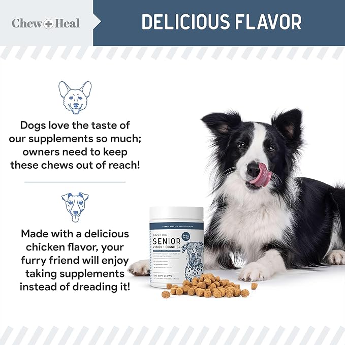 Senior Dog Vision and Cognition Chews - 60 Soft Chews for Dog Eye Care and Memory - 7-in-1 Multivitamin with Omega Fatty Acids, Vitamins, and Botanicals - Made in The USA