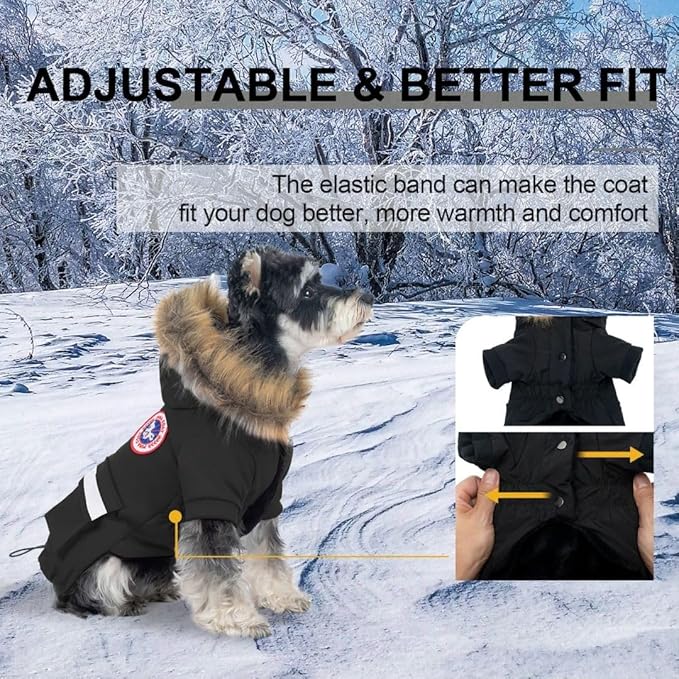 PINA Small Dog Coats - Waterproof, Warm Winter Jacket with Faux Fur Hood & Pocket