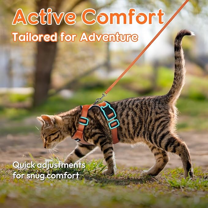 Dooradar Cat Harness and Leash Set, Escape Proof Safe Adjustable Kitten Vest Harnesses for Walking, Easy Control Soft Breathable Mesh Jacket with Reflective Strips for Cats, Orange, XXS