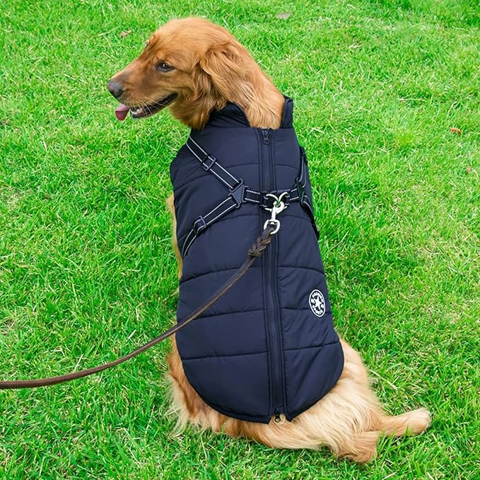 Aiboria Dog Jackets for Winter Windproof Waterproof 2 in 1 Outfit Cold Weather Coat Dog Vest Harness Puppy Winter Warm Jacket Small Blue L