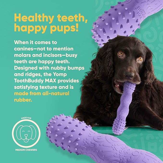 Yomp ToothBuddy MAX Dog Toy – Fetch-Ready & Dishwasher Safe