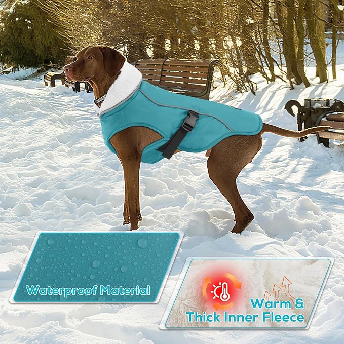 EMUST Dog Winter Coat, Thick Windproof Pet Jacket Winter, Pet Cold Weather Coats for Small/Medium/Large Dog, Turquoise, XXL