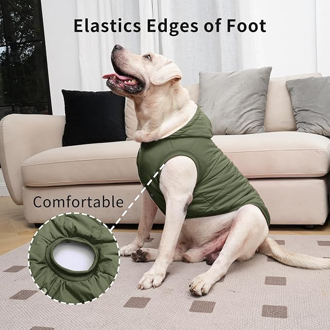 Fleece Lining Extra Warm Dog Hoodie in Winter for Small Dogs Jacket Puppy Coats with Hooded Green M